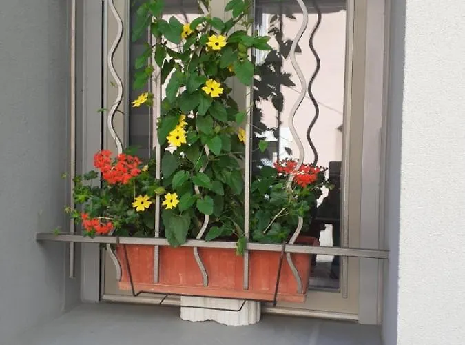 Le D' Emi Appartement Argelès-Gazost