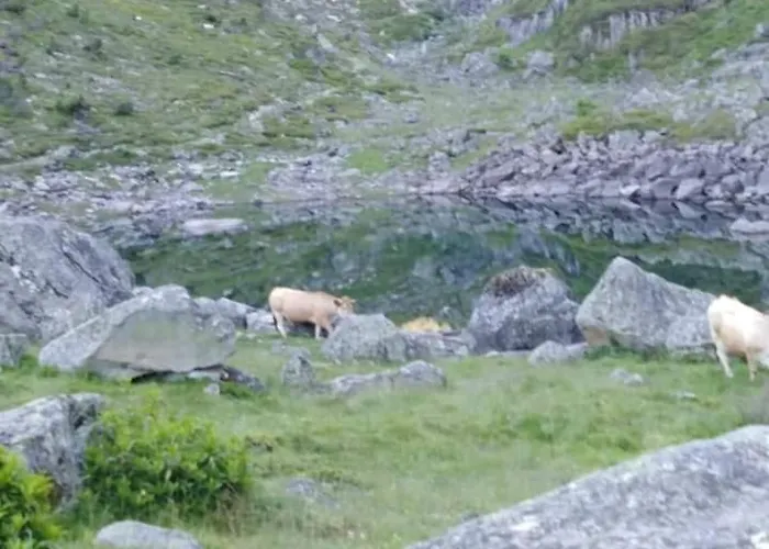 Le D' Emi Appartement